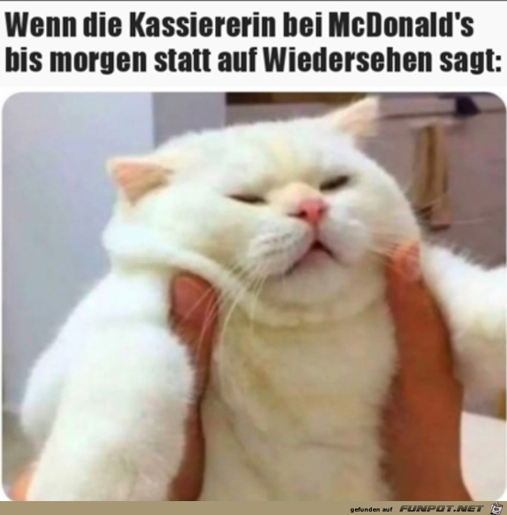 Bis morgen