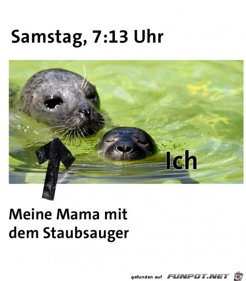 Samstag