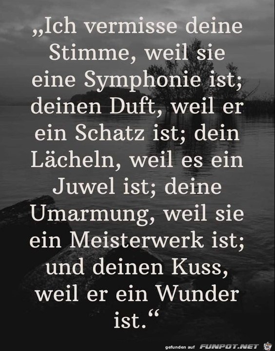 Ich vermisse deine Stimme