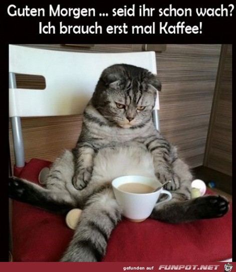 Erst mal einen Kaffee