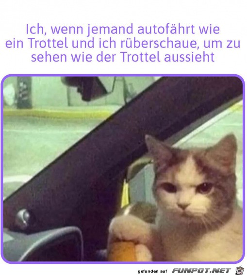 Der Trottel