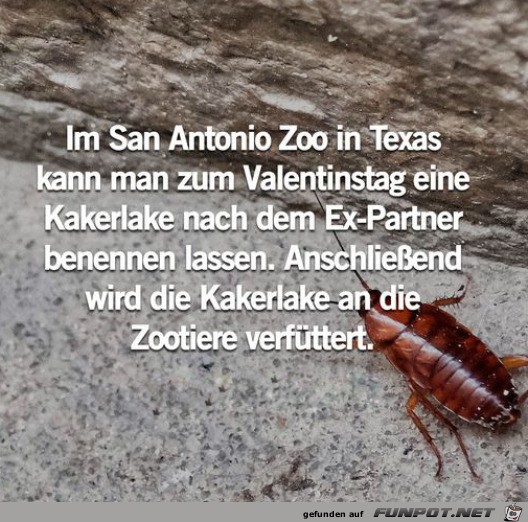 Valentinstag mal anders