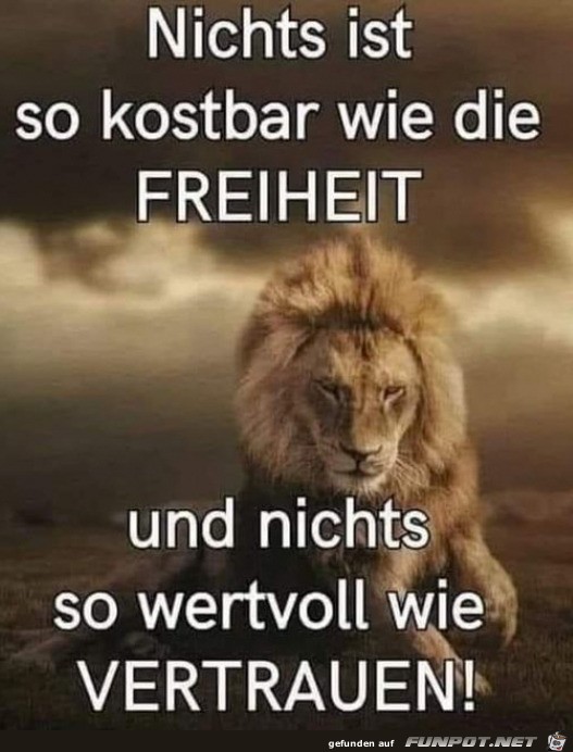 Freiheit und Vertrauen