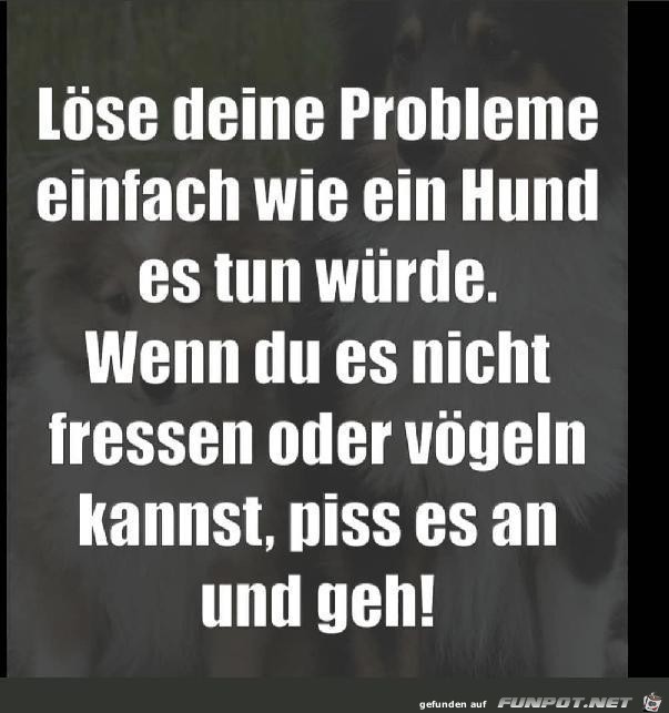 Probleme