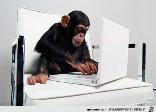 Tiere am Computer 7 Tiere am Computer 7