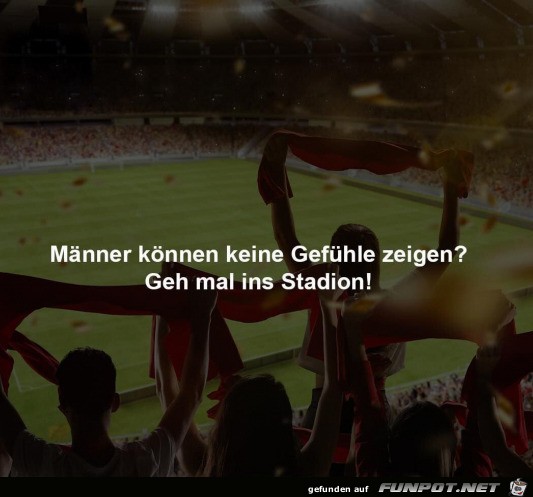 Im Stadion