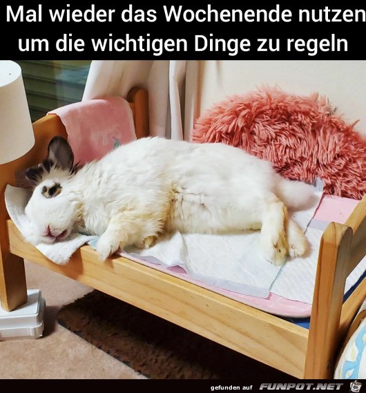 Wochenendprogramm