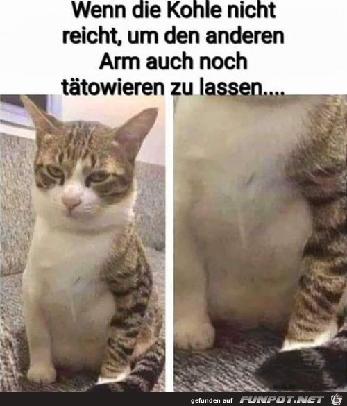 Nur ein Arm ttowiert