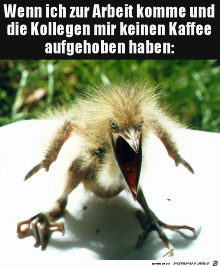 Kein Kaffee mehr da