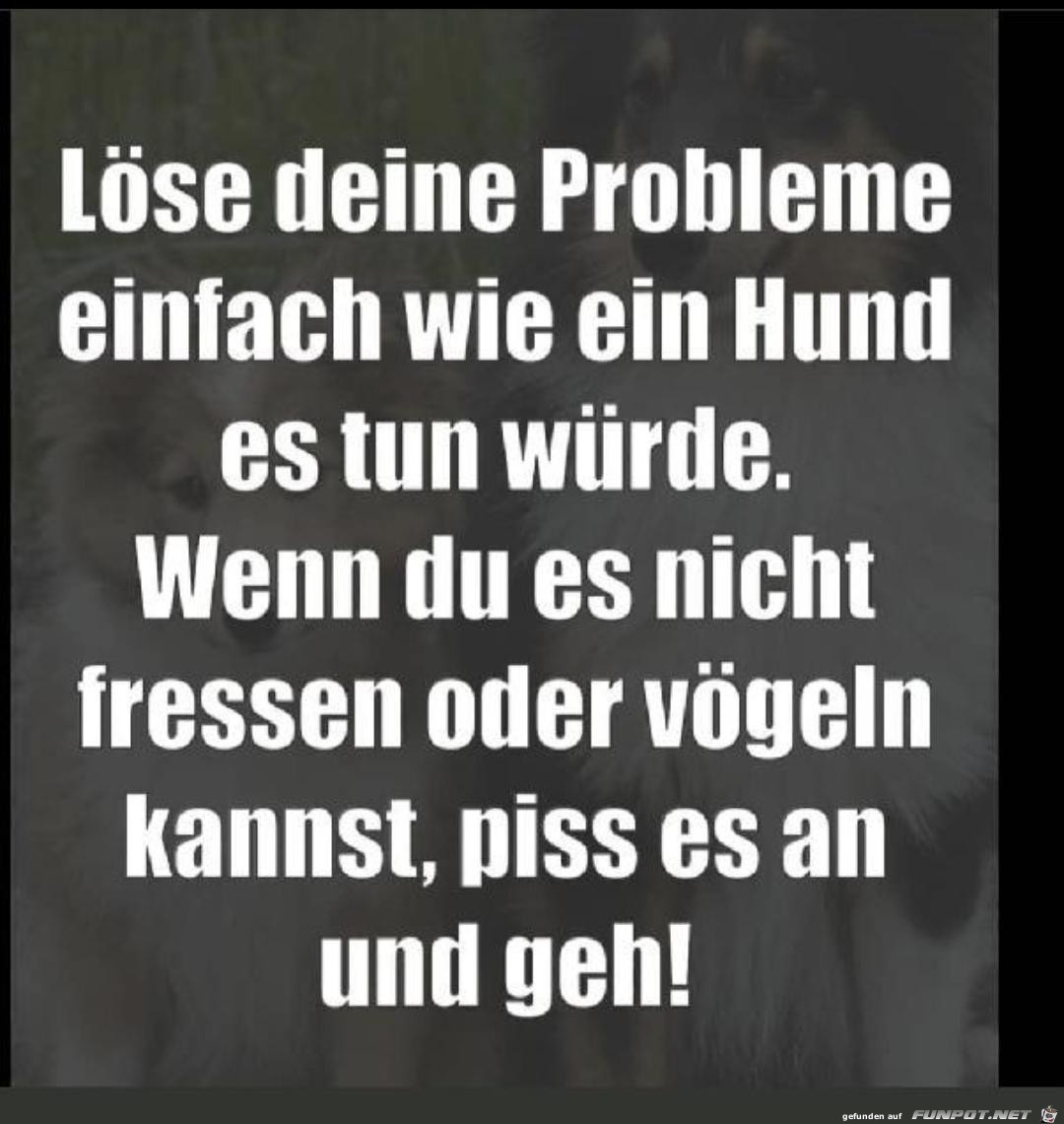 Probleme Probleme