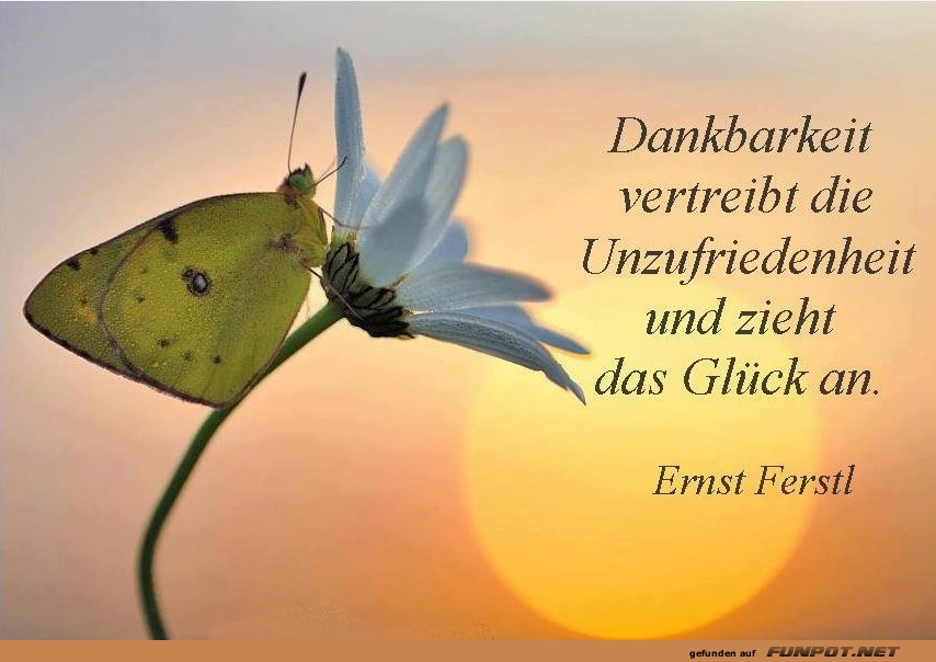 Dankbarkeit Dankbarkeit