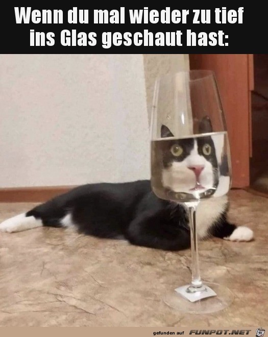 Zu tief ins Glas geschaut