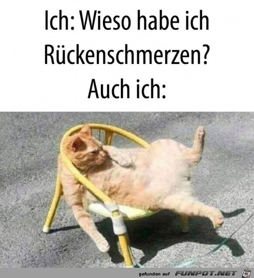 Rckenschmerzen