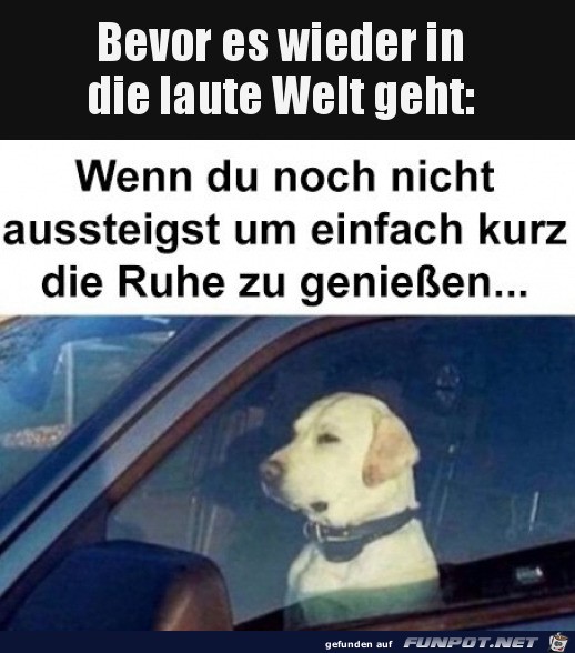 Noch einen Moment der Ruhe genieen