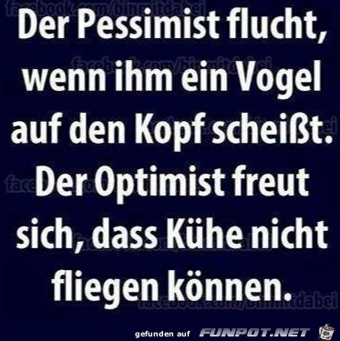 Der Pessimist