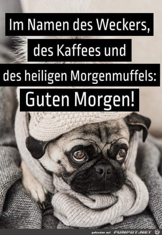 Guten Morgen