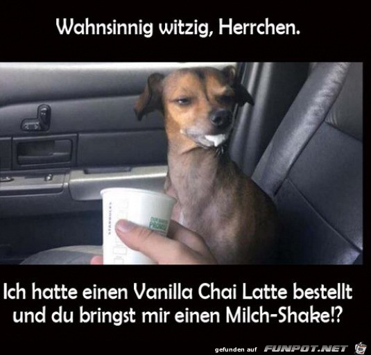 Lustiger Hund