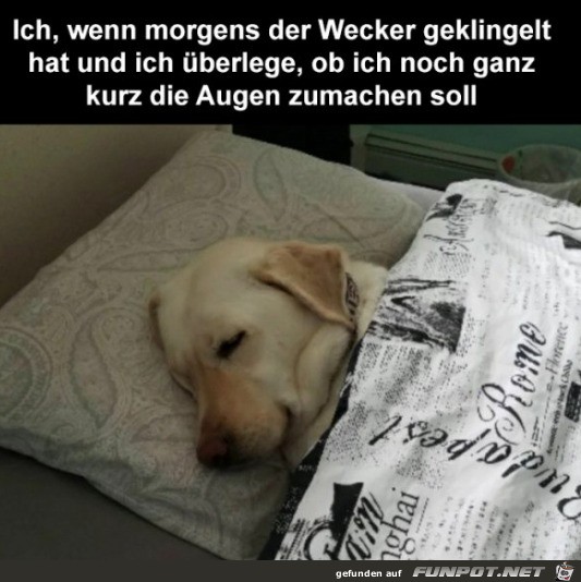 noch kurz die Augen zumachen