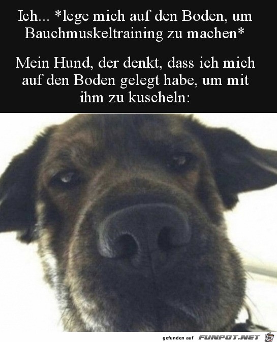 Mein Hund