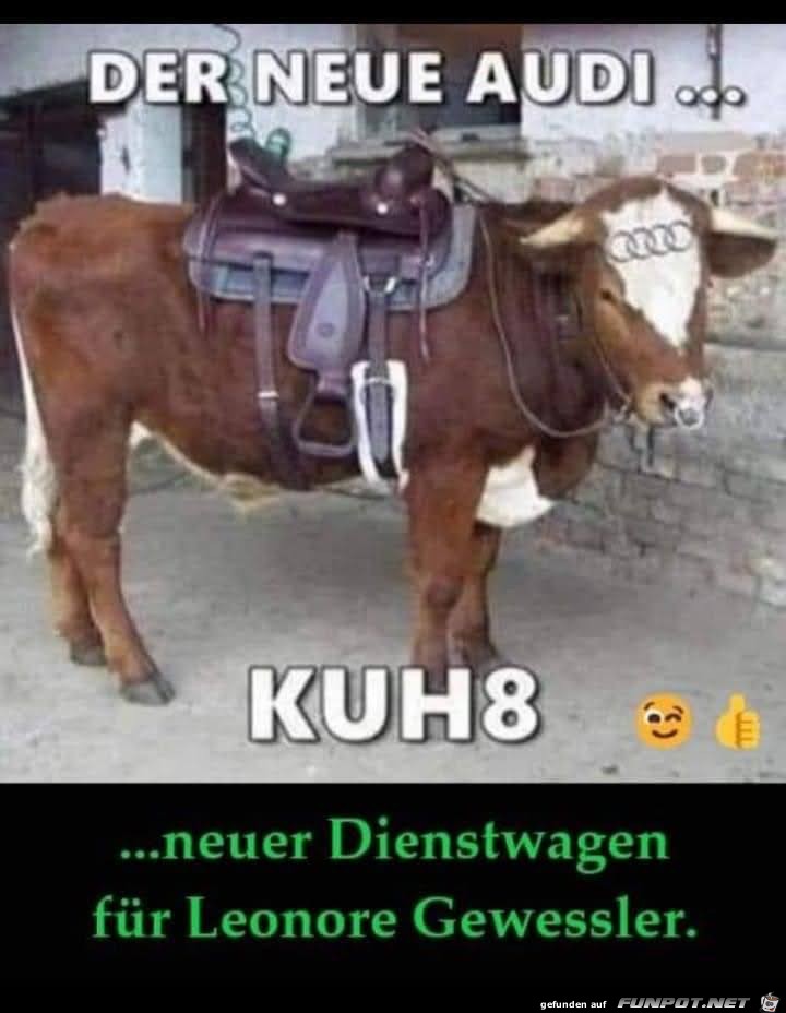 Der neue Audi