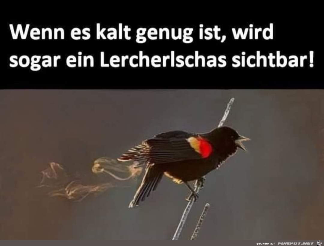 wenn es kalt genug ist