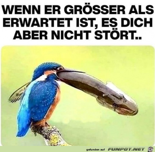 Grer als erwartet