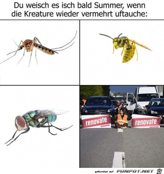 Lstige Kreaturen