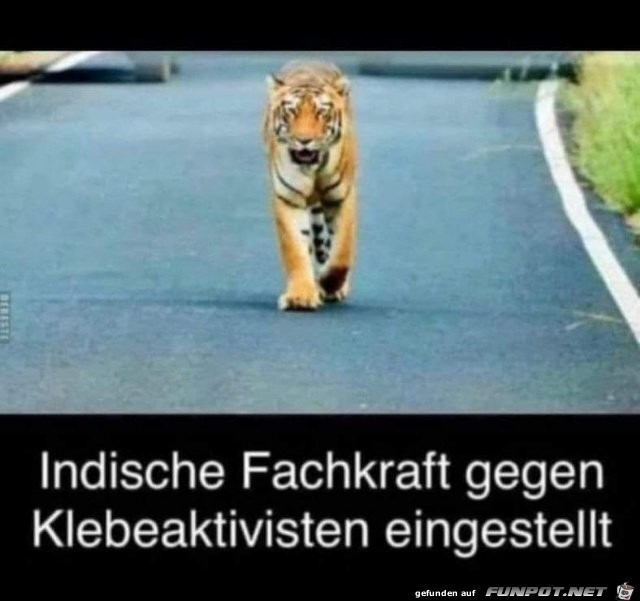 Fachkraft