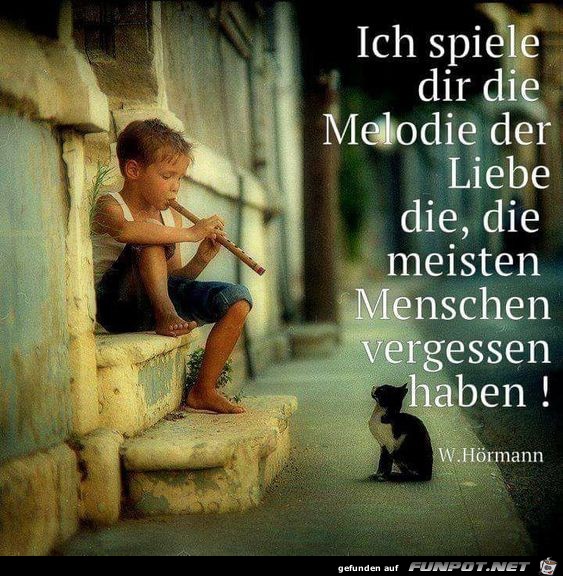 Ich spiele dir die Musik der Liebe