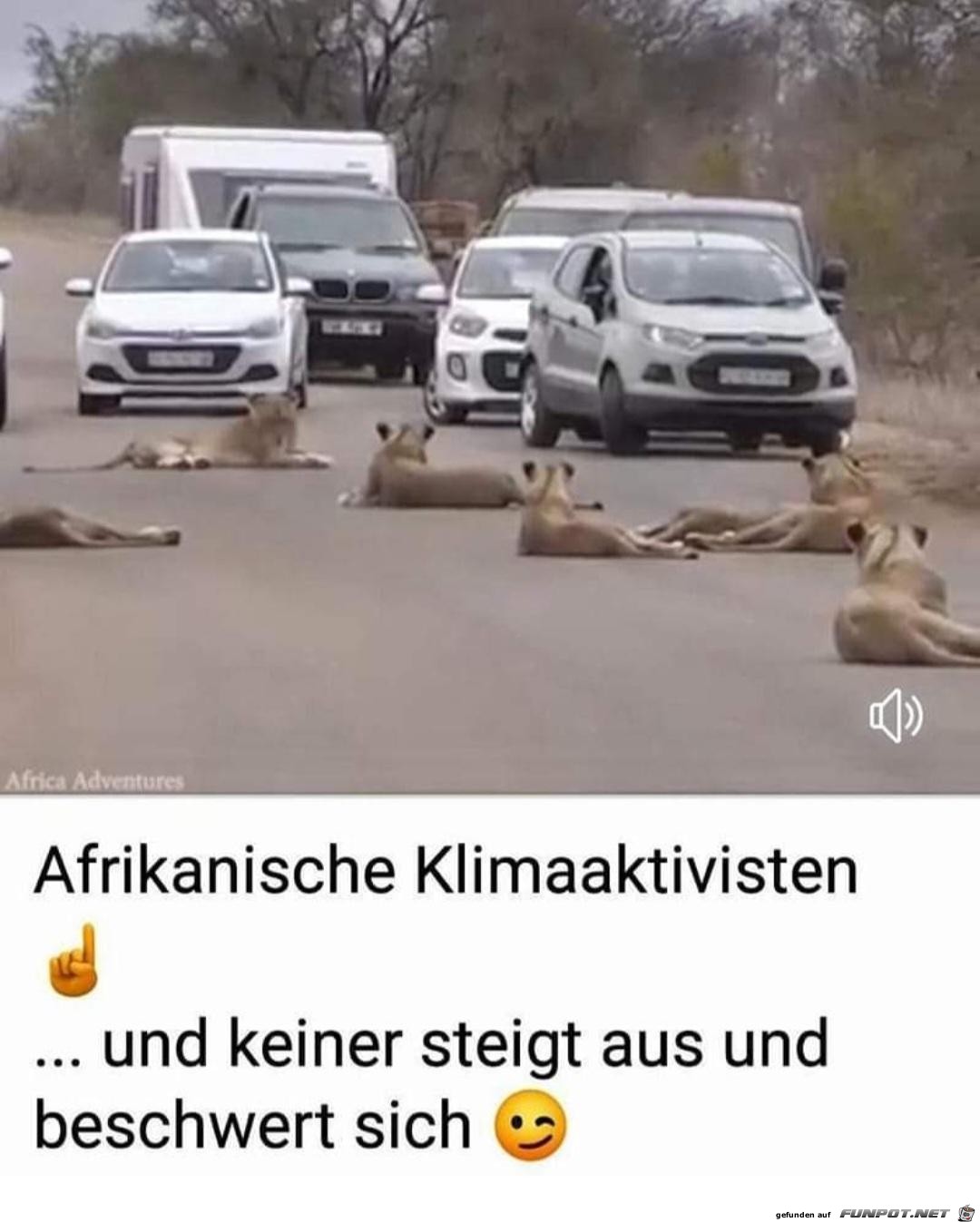 Afrikanische Klimaaktivisten