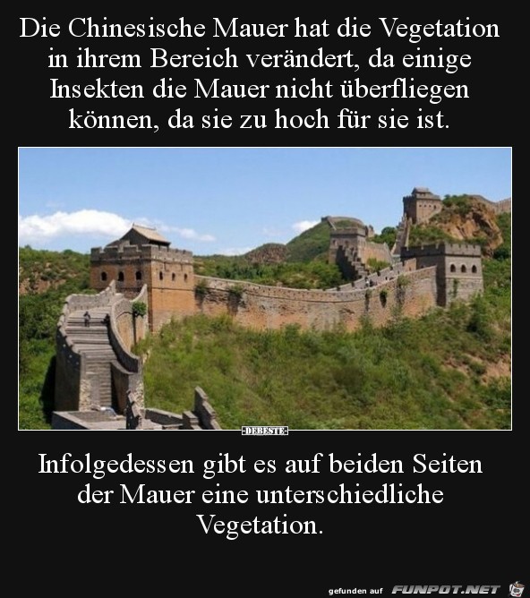 Die chinesische Mauer