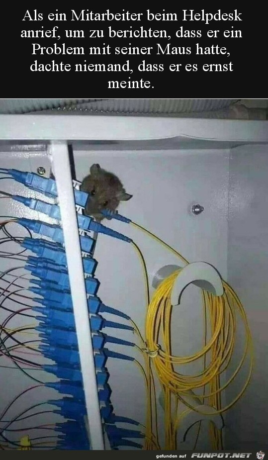 Problem mit der Maus