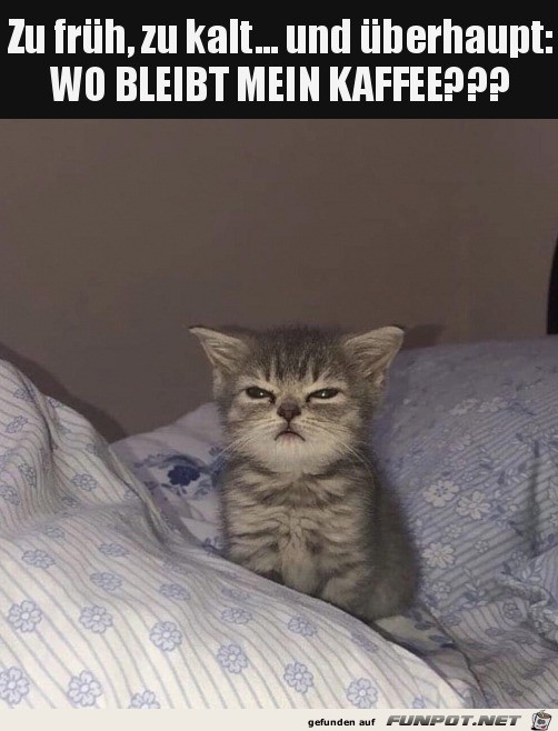 Zu frh und zu kalt