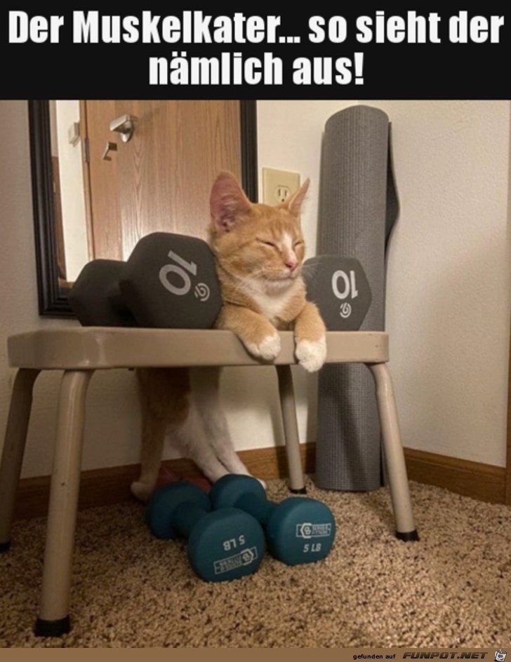 Muskelkater Bilder Lustig:  Drawing Fun for Sore Muscles!