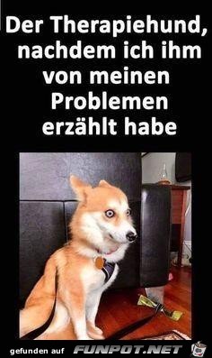 Der Therapiehund