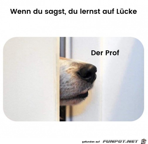 Der Prof riecht das