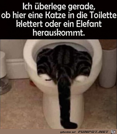 witzige Bilder aus verschiedenen Blogs