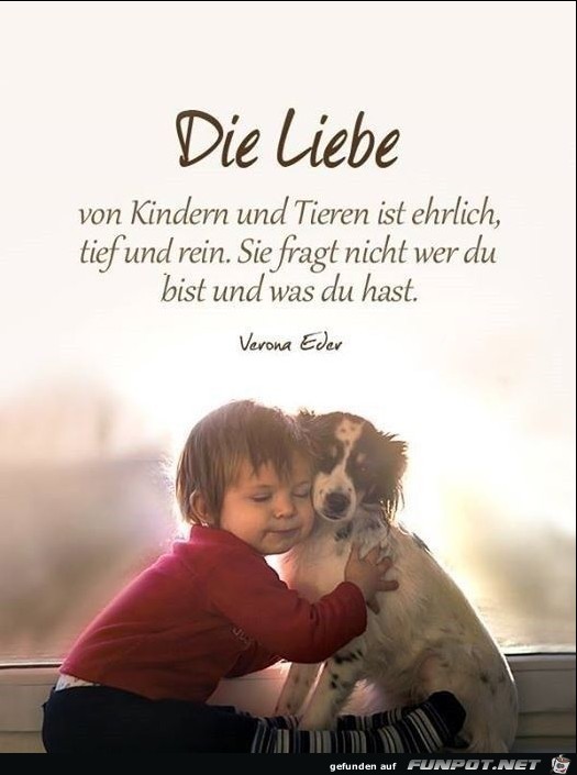 Die Liebe von Kindern und Tieren ist ehrlich