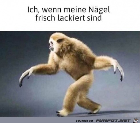 Ngel frisch lackiert