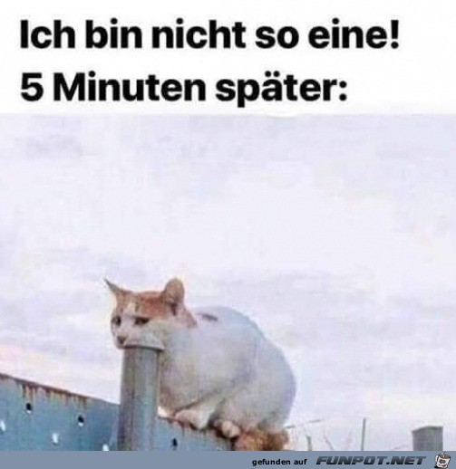 Nicht so eine