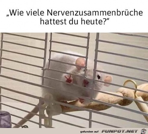 Nervenzusammenbrche