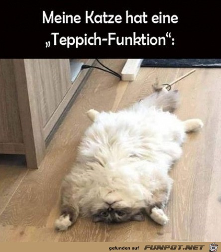 Katze mit Teppichfunktion