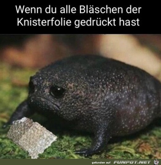 Alle Blschen gedrckt