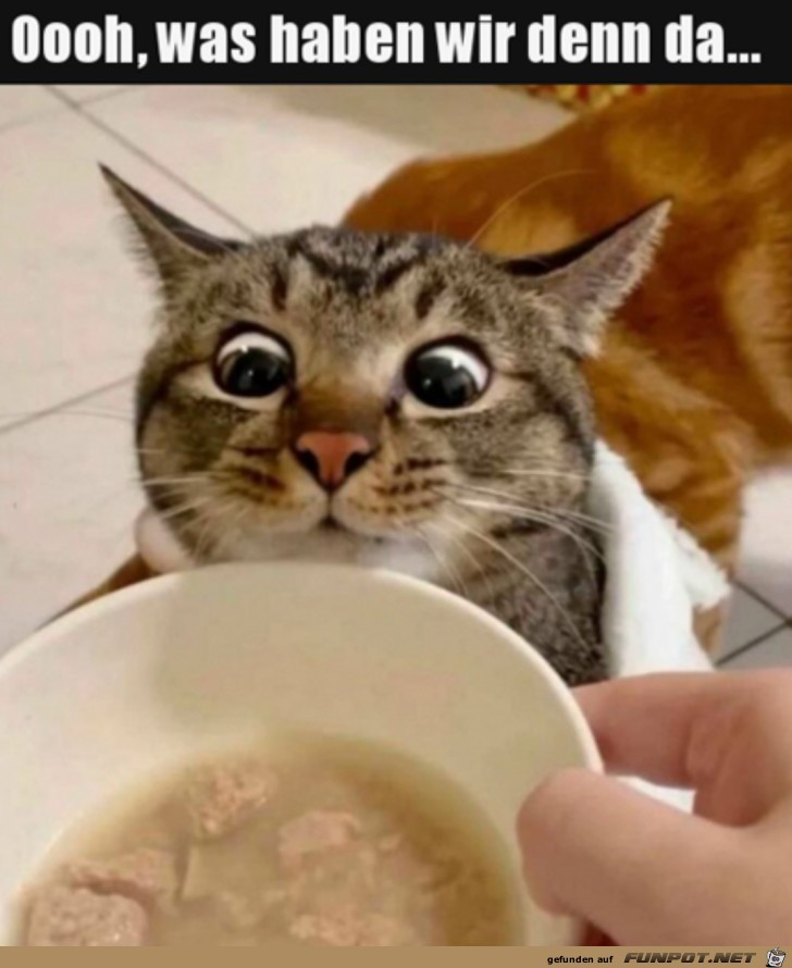 Lass mal gucken Lass mal gucken