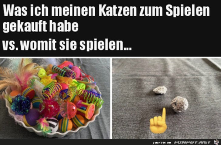 Mit was die Katze wirklich spielt