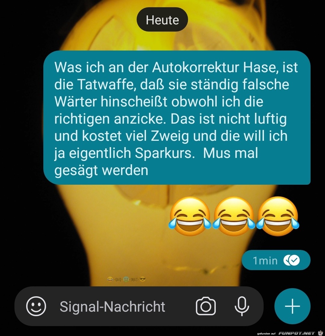 Autokorrektur