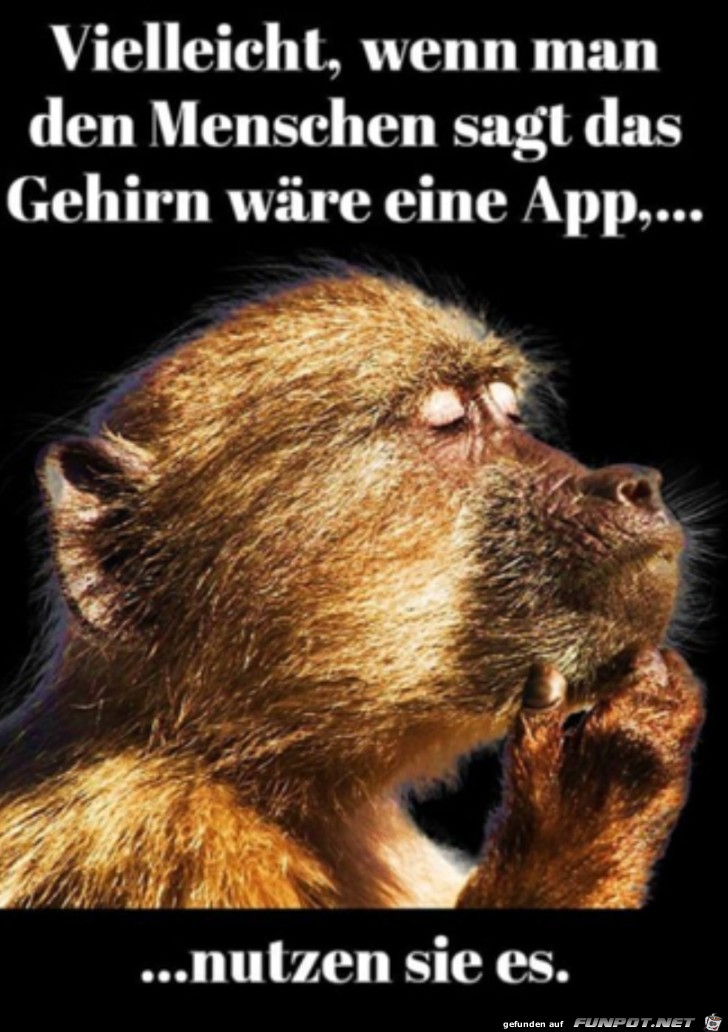 Gehirn als App