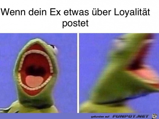 Der Ex