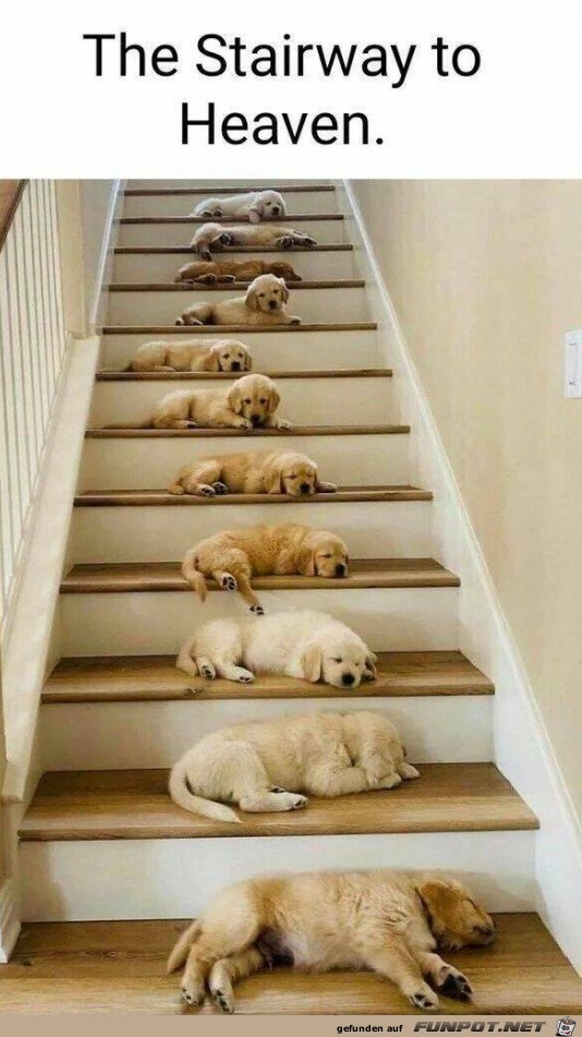 Stairway to heaven