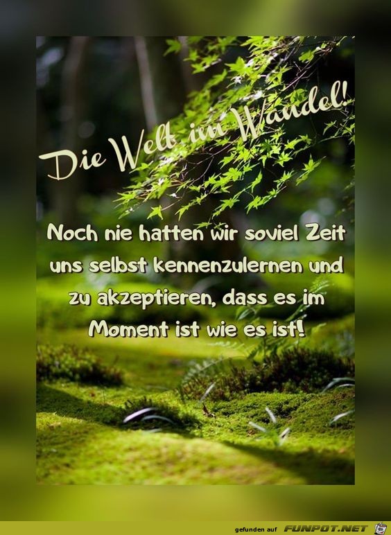 Die Welt im Wandel